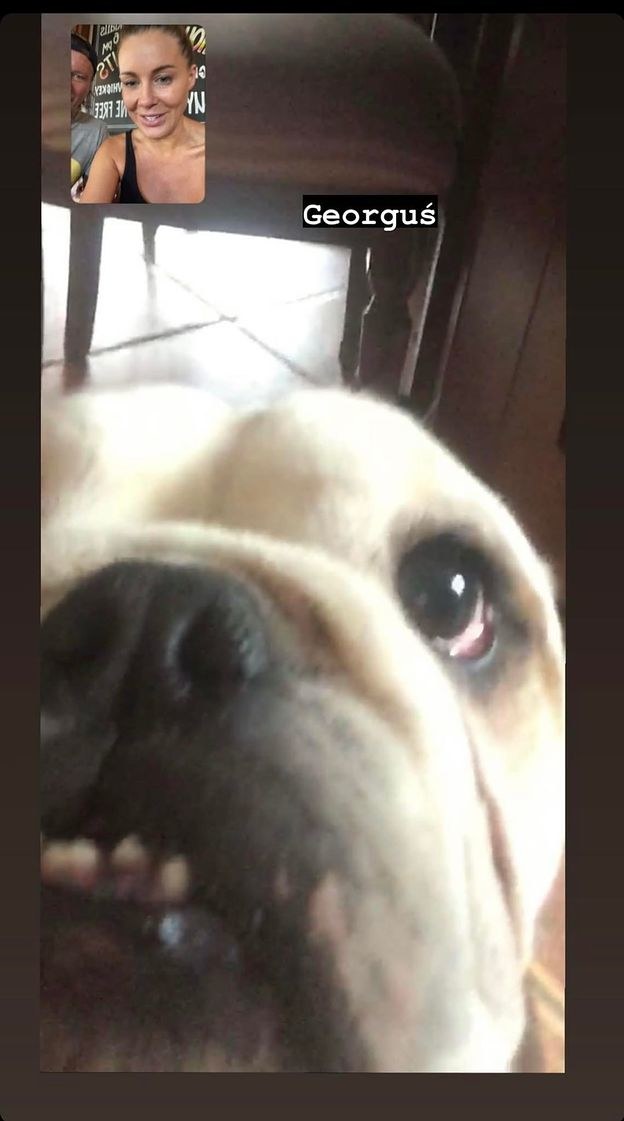 Małgorzata Rozenek codziennie rozmawia z psami przez Facetime /instagram.com/m_rozenek /Instagram