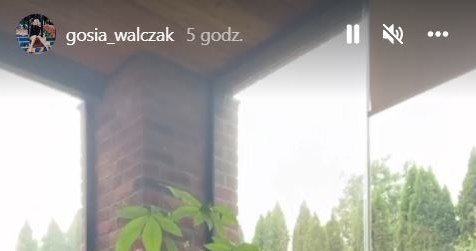 Małgorzata Walczak na Instagramie przekazała bardzo ważną informację /www.instagram.com/gosia_walczak/ /Instagram