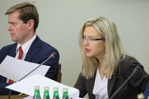 Małgorzata Wassermann podczas prac komisji ds. Amber Gold / 	Leszek Szymański    /PAP