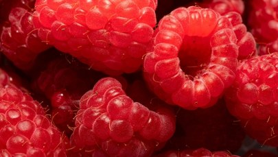 Malinowy szał w Radiu RMF24. "Nie potrzeba ani grama cukru"