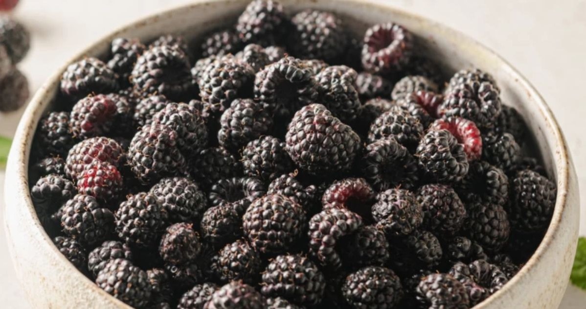 Maliny w ciemnej wersji są źródłem cynku, witaminy C, K oraz kwasu foliowego /123RF/PICSEL