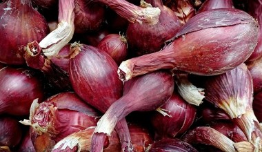 Мало хто знає, що вона підтримує здоров'я серця, зміцнює імунітет і зменшує запалення. Їжте регулярно