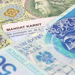 Mało kto pamięta, że ten przepis obowiązuje nie tylko nocą. Do zapłaty kara