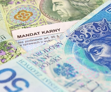 Mało kto pamięta, że ten przepis obowiązuje nie tylko nocą. Do zapłaty kara