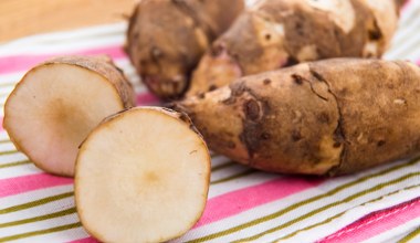 Mało kto regularnie po niego sięga, a szkoda. Działa cuda na jelita i odporność  