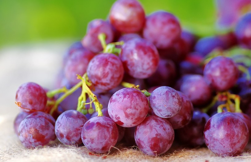 Mało kto wie o właściwościach pestek winogron /123RF/PICSEL