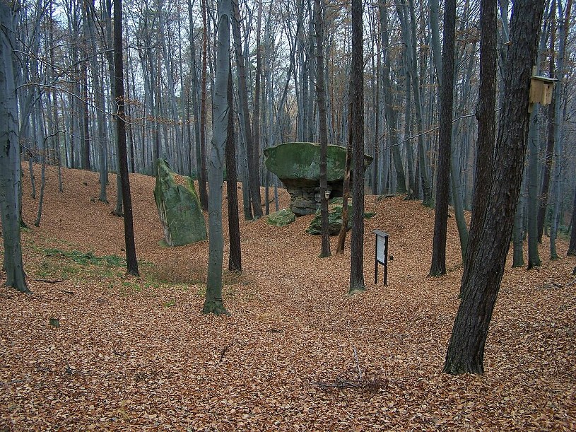 Mało znany, a piękny park krajobrazowy. Idealny na jesienny spacer bez tłumów