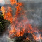 Mało znany gaz cieplarniany daje się we znaki. Cierpi aż 1/3 ludzi na Ziemi