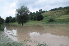 Małopolska: Rzeka Biała podtopiła gospodarstwa w gminie Bobowa 