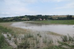 Małopolska: Rzeka Biała podtopiła gospodarstwa w gminie Bobowa 