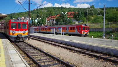 Malownicza linia kolejowa 103 zostanie wskrzeszona? Walczą mieszkańcy i duże firmy