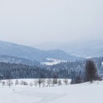 Malownicza wioska w Bieszczadach. Mało kto zna jej niezwykłą historię 
