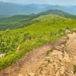 Malownicze szlaki i zachwycająca panorama. Wyjątkowy szczyt w Bieszczadach