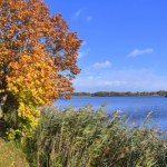 Malownicze trasy i lasy pełne grzybów. Spędź tutaj jesienny weekend