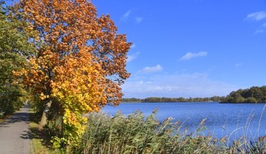Malownicze trasy i lasy pełne grzybów. Spędź tutaj jesienny weekend