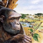 Małpa z Europy chodząca na dwóch nogach? Tego nikt nie zakładał