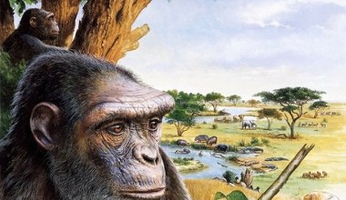 Małpa z Europy chodząca na dwóch nogach? Tego nikt nie zakładał