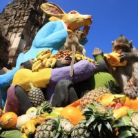 Tajlandia: Bufet dla małpek 
