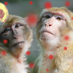 "Małpia ospa" obraża i dyskryminuje? WHO rozważa zmianę nazwy choroby