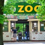 ZOO Małpka z Poznania odmroziła sobie palce. Będzie śledztwo