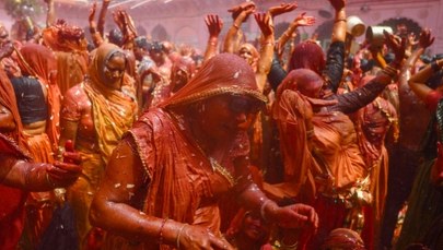 Małpy doprowadziły do wybuchu paniki. Są zabici i ranni