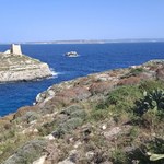 Malta. Polacy pokochali słoneczną wyspę
