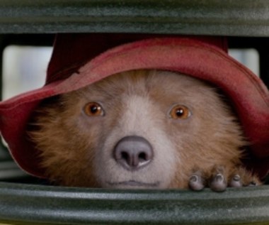 Mały miś z wielkim sercem. "Paddington 2" już w kinach!