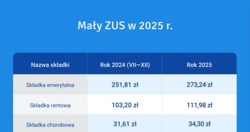 Mały ZUS w 2024 i 2025 r. Źródło: inFakt /