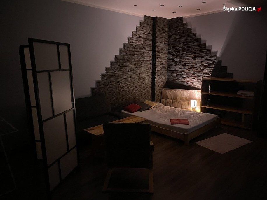 Małżeństwo organizowało miejsca świadczenia usług seksualnych /Śląska policja /Policja