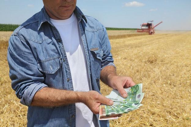 Małżonkowie muszą podzielić się dopłatami unijnymi do gospodarstwa rolnego /&copy;123RF/PICSEL