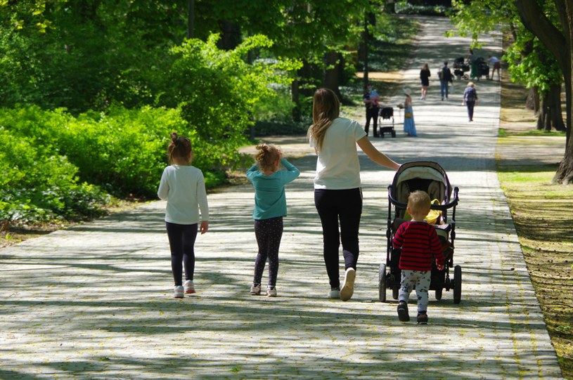 Mama 4 plus nie tylko dla matek. 1338 zł mogą dostać także ojcowie. /Marek Bazak /East News