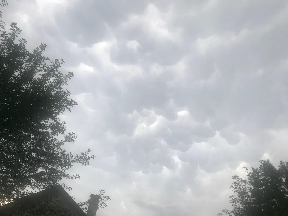 Mammutusy były dziś widziane także nad Krakowem /Monika Kamińska /RMF FM