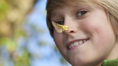 Mamy nosa do klimatu