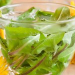 mniszek lekarski właściwości lecznicze Mamy za darmo, a nie znamy ich mocy. Oczyszczają organizm, chronią wątrobę i poprawiają trawienie