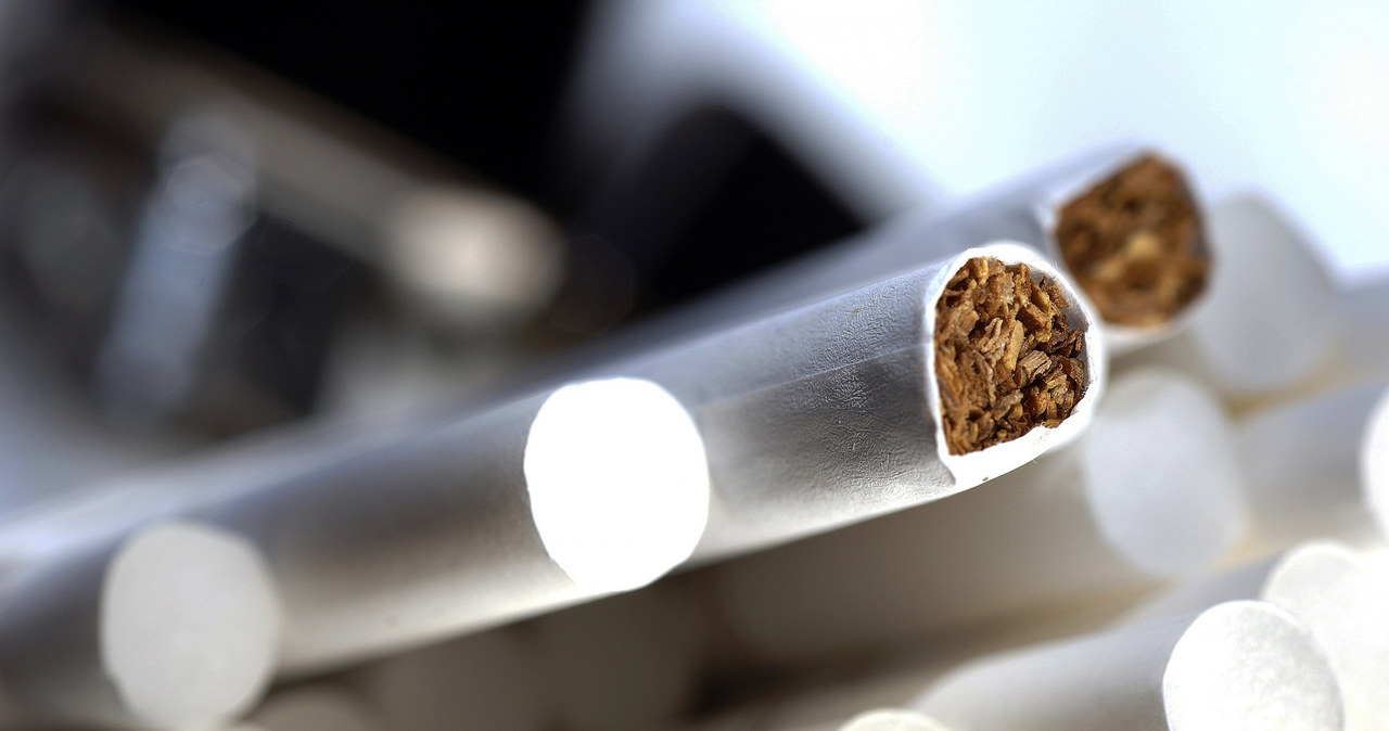 Mamy złe wieści dla palaczy /Pawel Sonnenburg/REPORTER /Reporter