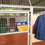 Mandat może dostać niemal każdy. Sprawdź, nim wyrzucisz