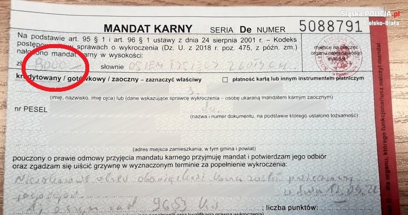 Mandat w wysokości 8 tys. zł za niewskazanie prowadzącego pojazd /Policja