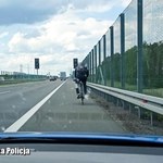 Mandat za jazdę rowerem drogą ekspresową. Chciał "skrócić sobie drogę"