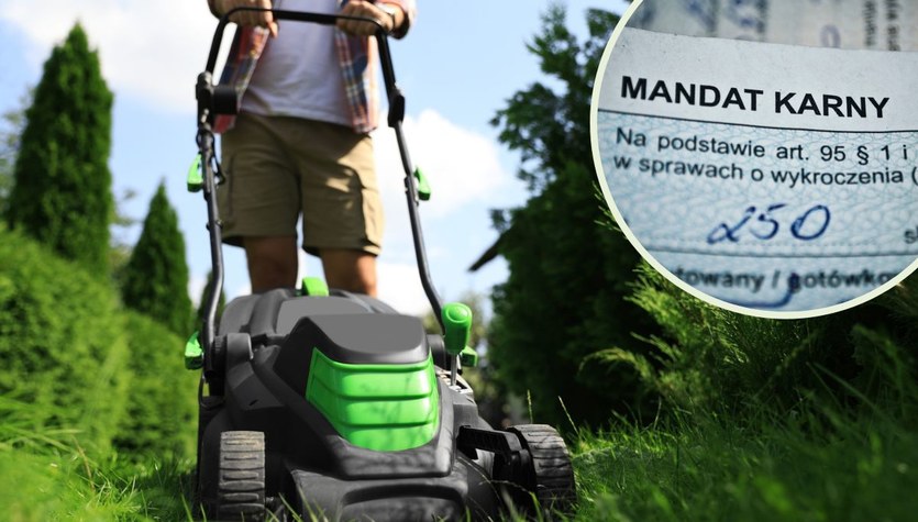 Mandat za koszenie trawnika? Zobacz, czy sąsiad może na ciebie donieść
