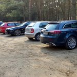 Mandat za parkowanie w lesie. Grzybiarze muszą uważać