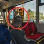 Mandat za takie zachowanie w autobusie. Radni zdecydowali
