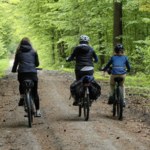 Mandat za wjazd rowerem do lasu? Rowerzyści zaskoczeni