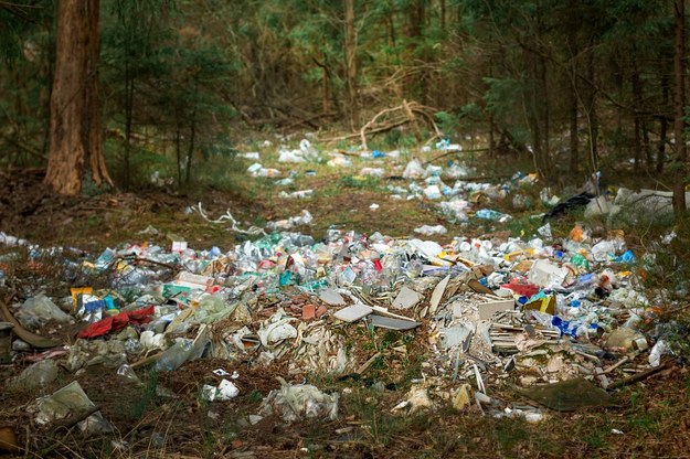Mandat za zaśmiecanie lasu wynosi 500 zł. „W wielu wypadkach nie robi to na ukaranym żadnego wrażenia zwłaszcza, jeżeli wyrzucając odpady do lasu ‘oszczędza’ kilka tysięcy opłaty wysypiskowej” – uważają leśnicy. /Shutterstock