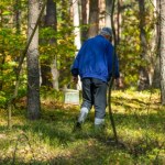 Mandat za zbieranie grzybów i szyszek. W lesie zapłacisz nie tylko za śmiecenie