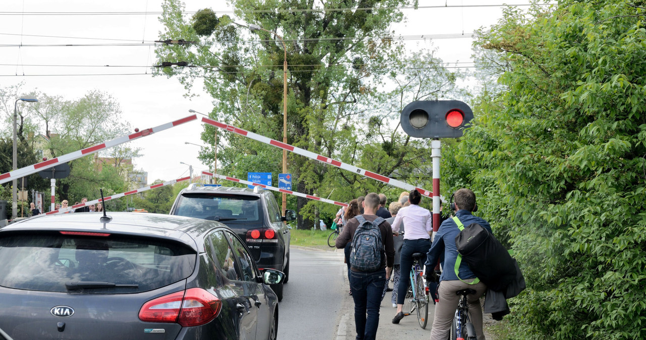 Mandat za zły kąt obowiązuje wszystkich: kierowców, rowerzystów i pieszych. Wystarczy ruszyć sekundę za wcześnie /Bartłomiej Magierowski /East News