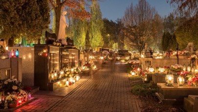 Mandaty na cmentarzach. Za te błędy zapłacisz nawet 5 tys. zł