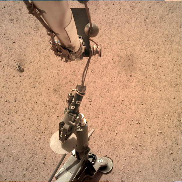 Manewr stawiania sondy termicznej z Kretem na powierzchni Marsa, sfotografowany z pomocą kamery IDC (Instrument Deployment Camera) /NASA/JPL-Caltech /Materiały prasowe