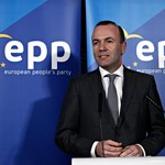 Manfred Weber szefem Europejskiej Partii Ludowej. Zastąpił Donalda Tuska