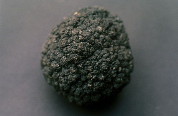 Manganese nodule. Fot. Koelle/de.wikipedia /materiały prasowe