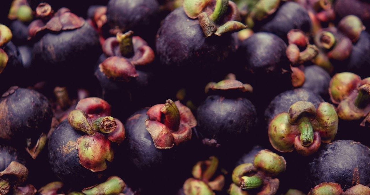 Mangostan jest bogatszym źródłem przeciwutleniaczy niż awokado czy mango /Raf Enriquez /Canva Pro